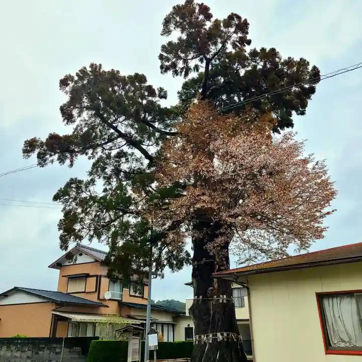 六所神社(静岡県)