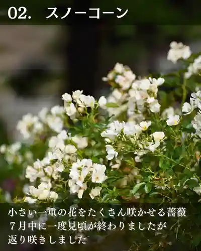 宝光寺(北海道)