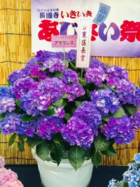 長國寺のお祭り