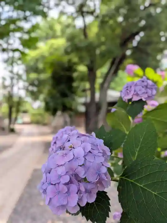 鳩森八幡神社(東京都)