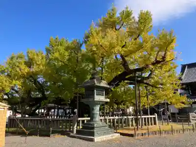 本願寺（西本願寺）のその他建物