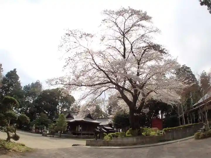 二宮神社の自然