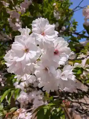 愛染院(東京都)