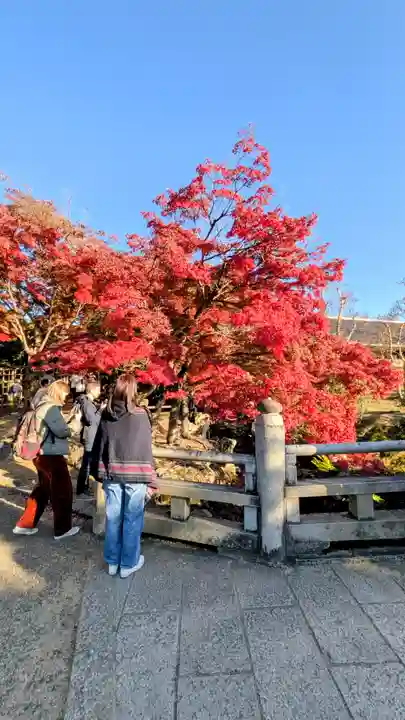 夫婦大國社(春日大社末社)(奈良県)