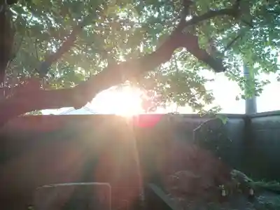 岡山戎神社のその他建物