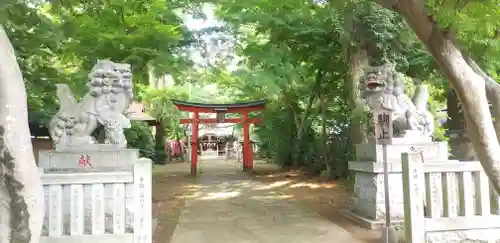 鹿嶋神社の狛犬