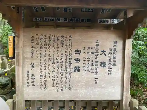 來宮神社の歴史