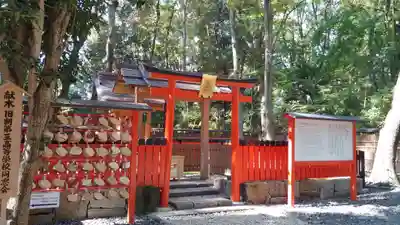 賀茂御祖神社(下鴨神社)の鳥居