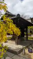 勝林寺(京都府)