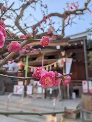 鳩森八幡神社(東京都)
