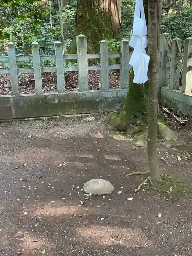 鹿島神宮(茨城県)