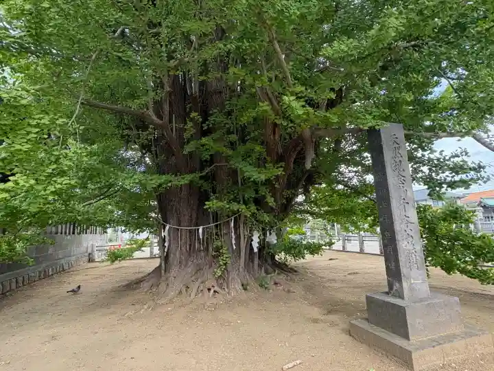 葛飾八幡宮(千葉県)