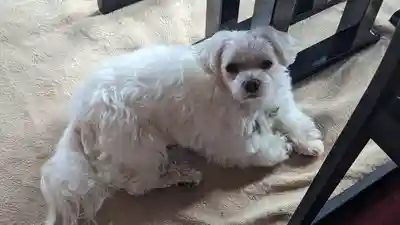 本昌寺(京都府)