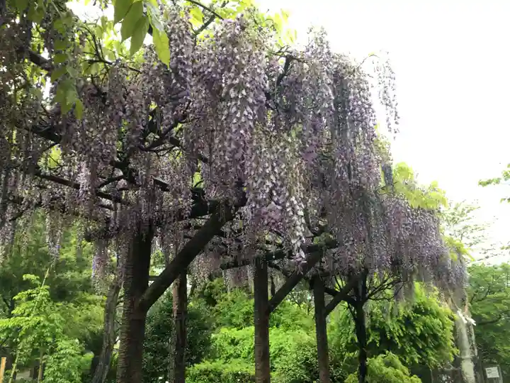 與止日女神社の自然