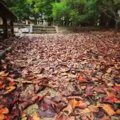 滑川神社 - 仕事と子どもの守り神の建物その他