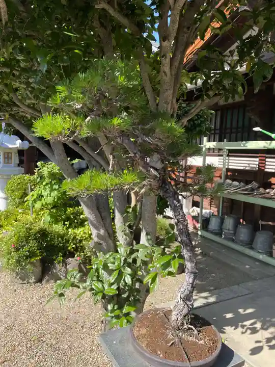 法徳寺(奈良県)