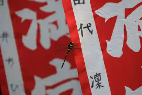 鹿島大神宮の動物