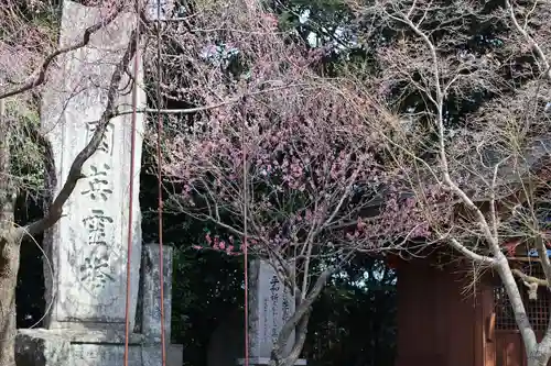 諏訪神社(長崎県)