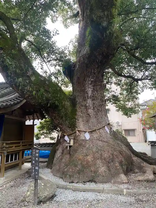 大神社(和歌山県)