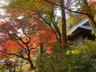 大国寺(兵庫県)