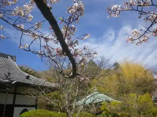 浄光明寺の景色