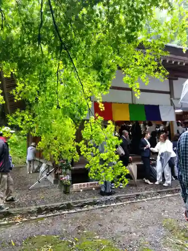 仏母寺(福井県)