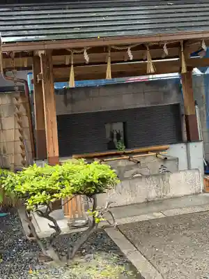 サムハラ神社の手水舎