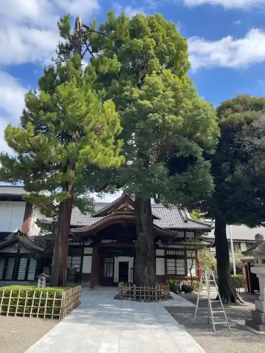 大國魂神社(東京都)