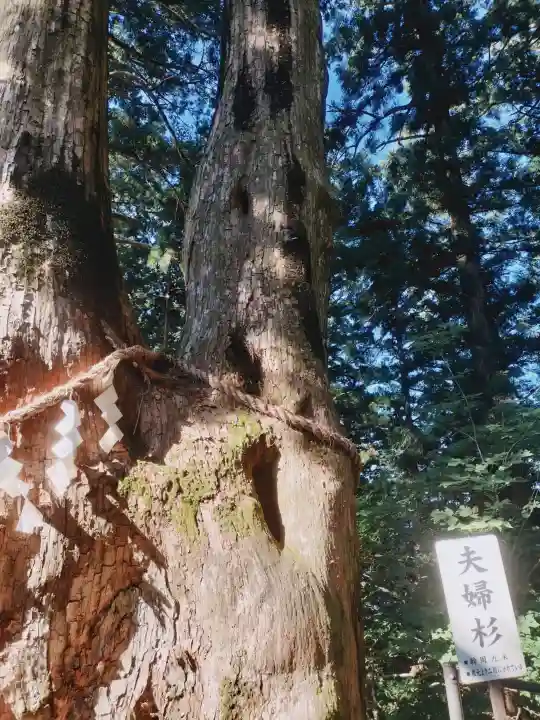 玉置神社の{uncategorized: "未分類", other: "その他", undefined: "問題あり", building: "その他建物", grave: "お墓", sacred_gate: "鳥居", guardian: "狛犬", statue: "像", buddha: "仏像", history: "歴史", nature: "自然", garden: "庭園", animal: "動物", pagoda: "塔", temizu: "手水舎", mountain_gate: "山門・神門", sanctuary: "本殿・本堂", subordinate: "末社・摂社", art: "芸術", scenery: "景色", jizo: "地蔵", ema: "絵馬", goshuin: "御朱印", omikuji: "おみくじ", items: "授与品その他", amulet: "お守り", goshuincho: "御朱印帳", eats: "食事", festival: "お祭り", votive_dance: "神楽", shichigosan: "七五三参", wedding: "結婚式", experience: "体験その他", initially: "初詣", around: "周辺", anti_infection: "感染症対策"}