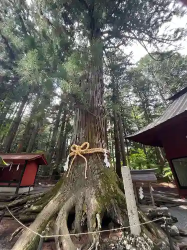 北口本宮冨士浅間神社(山梨県)