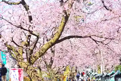 密藏院(埼玉県)