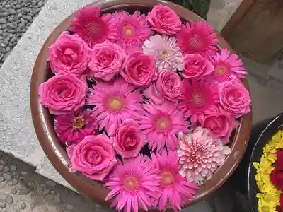 菅生神社の手水舎