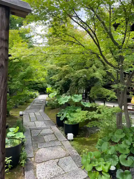 勝林寺(京都府)