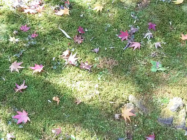 宝厳寺(滋賀県)