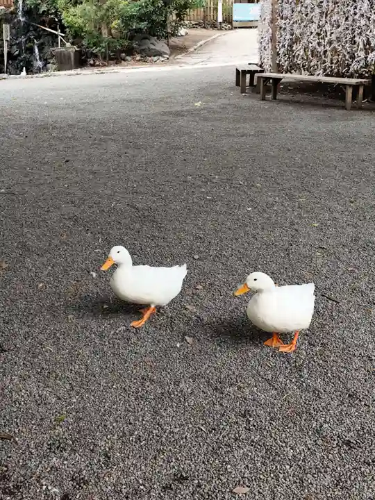 平塚八幡宮(神奈川県)