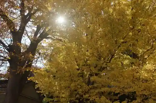 阿邪訶根神社の自然