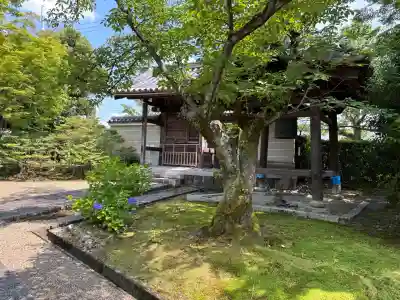 法金剛院(京都府)