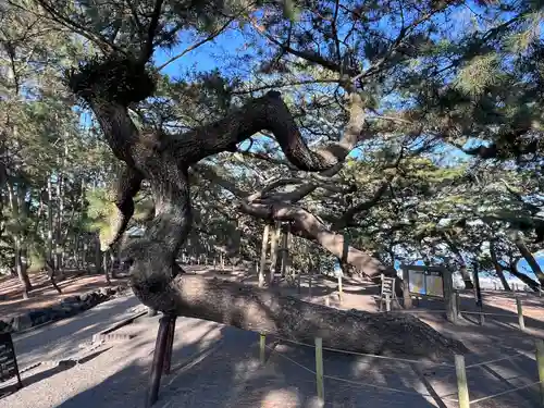御穂神社(静岡県)