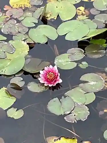 辯天寺(愛知県)