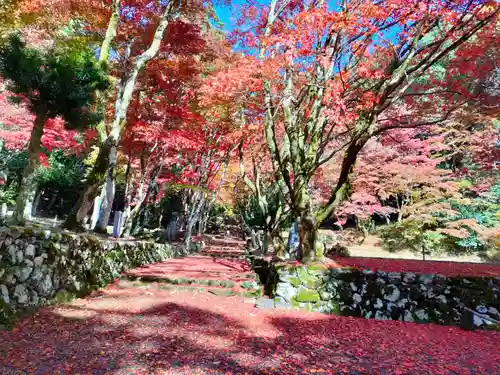 鶏足寺(滋賀県)