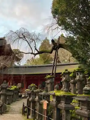 春日大社のその他建物