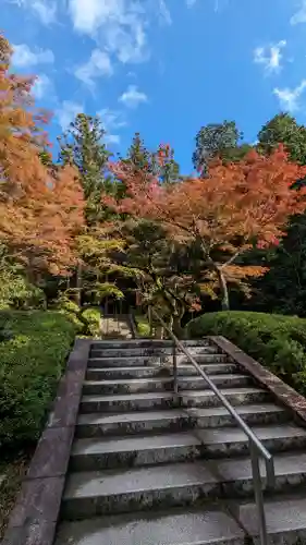 今熊野観音寺の建物その他