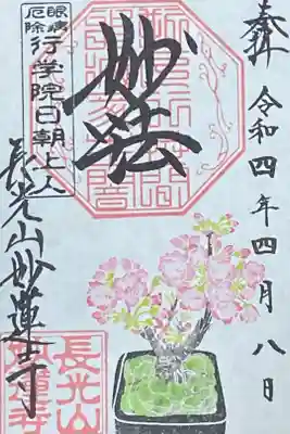 4月御朱印
さくら