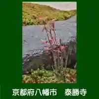 松花堂 泰勝寺(京都府)