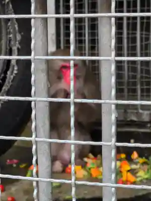 日吉大社(滋賀県)