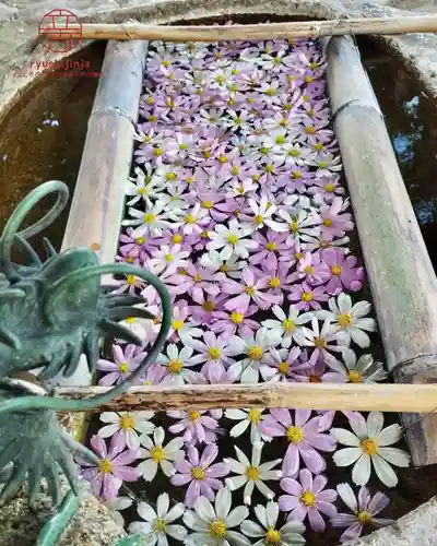 立志神社(滋賀県)