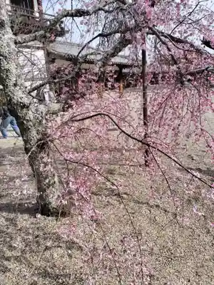 法隆寺(奈良県)