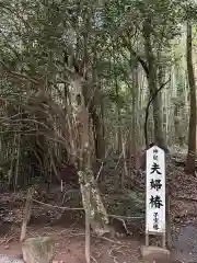 八重垣神社(島根県)