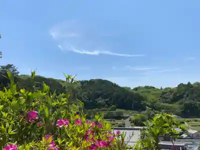 朝日寺(岡山県)