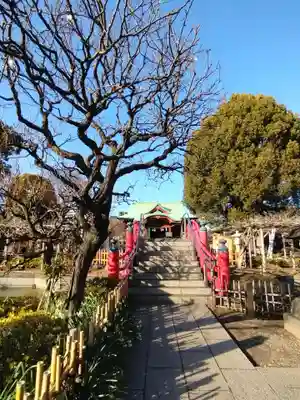 亀戸天神社(東京都)
